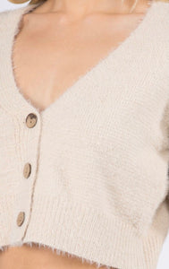 Ambrosia Beige Cropped Sweater